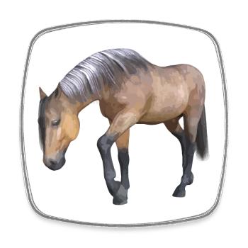 Gentle horse drawing with detailed mane - Square fridge magnet - white - Front