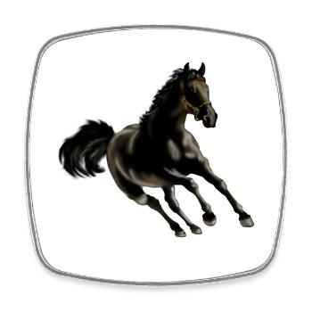 Horse - Square fridge magnet - white - Front