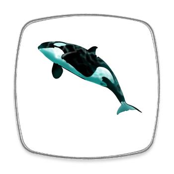 Orca - Square fridge magnet - white - Front