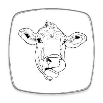 Vache léchant - Magnet carré - blanc - Devant