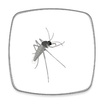 Detailed mosquito illustration - Square fridge magnet - white - Front