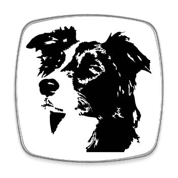 Border Collie Head - Magnet carré - blanc - Devant