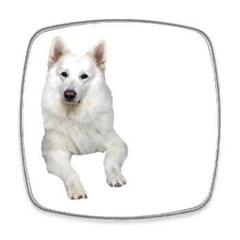 German shepherd white german shepherd Swiss dogs - Square fridge magnet - white - Front