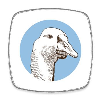 Gans - Viereckiger Kühlschrankmagnet - Weiß - Vorne