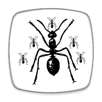 Ant Insect Animal Environment Nature - Square fridge magnet - white - Front
