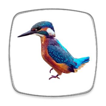 Eisvogel - Viereckiger Kühlschrankmagnet - Weiß - Vorne