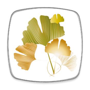 Feuilles élégantes de ginkgo doré et vert - Magnet carré - blanc - Devant