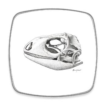 Teiú Lizard Skull - Ink - Square fridge magnet - white - Front