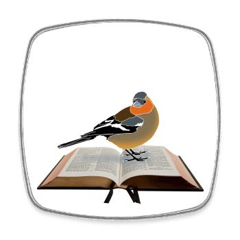 Pinson des arbres sur le livre - Magnet carré - blanc - Devant
