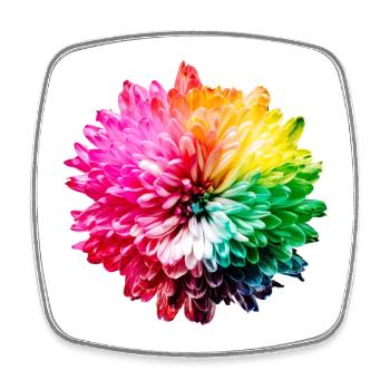 Chrysanthemum Rainbow - Square fridge magnet - white - Front