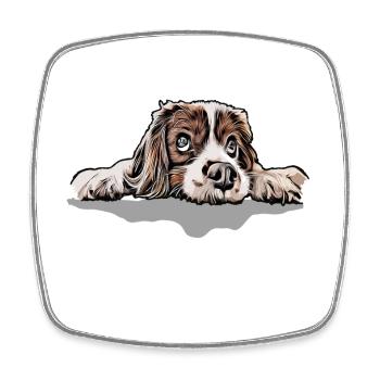 Cavalier King Charles Spaniel - Viereckiger Kühlschrankmagnet - Weiß - Vorne