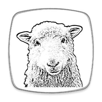 Schaf - Viereckiger Kühlschrankmagnet - Weiß - Vorne