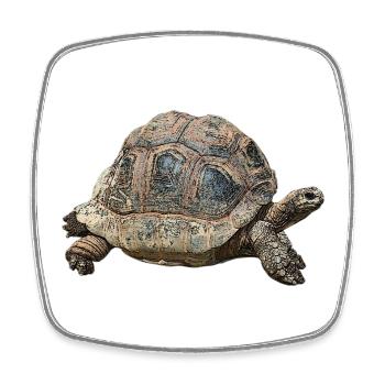Tortue géante, grands reptiles - Magnet carré - blanc - Devant