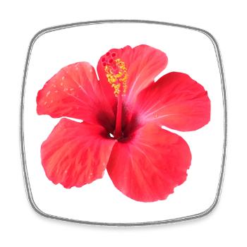 Vibrant hibiscus flower in tropical style - Square fridge magnet - white - Front
