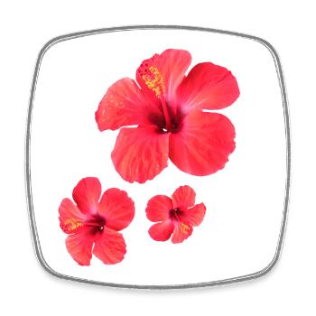 Red Hibiscus Blossoms Triple - Square fridge magnet - white - Front