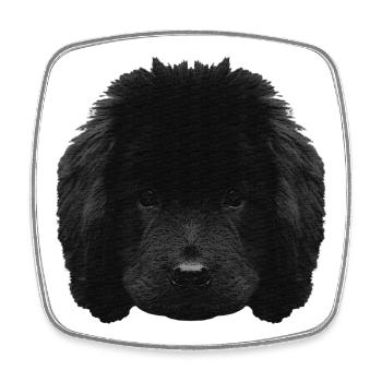 cute puppy, newfoundland puppy, dog breeds - Square fridge magnet - white - Front