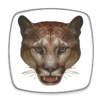 Beaux motifs animaliers, visage de lion de montagne - Magnet carré - blanc - Devant