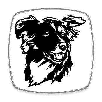 Border Collie Kopf - Magnet carré - blanc - Devant