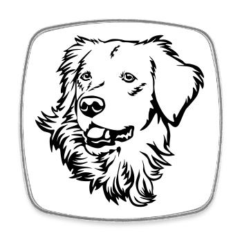 Tête de golden retriever - Magnet carré - blanc - Devant