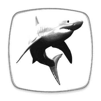 Great white shark - Square fridge magnet - white - Front