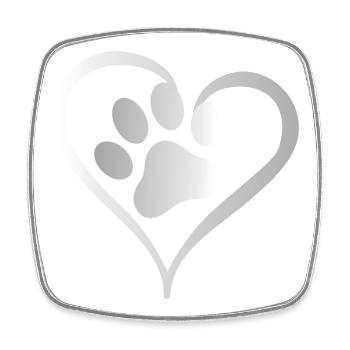 Katze mit Pfote in Herz Pfodenherz Pfotenherz - Viereckiger Kühlschrankmagnet - Weiß - Vorne
