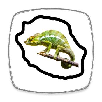 Chameleon vert sur branche - Magnet carré - blanc - Devant