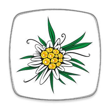 Edelweiss Flower Flower - Square fridge magnet - white - Front