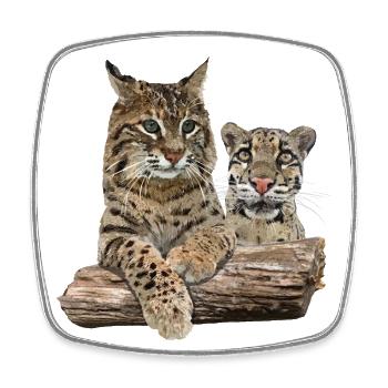 Luchs und Nebelparder - Viereckiger Kühlschrankmagnet - Weiß - Vorne