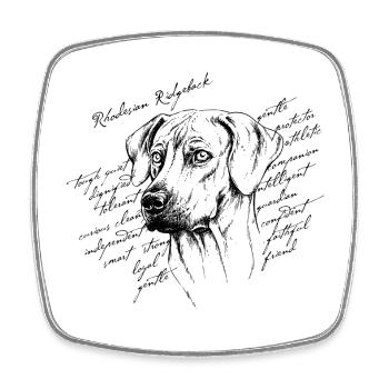 Rhodesian Ridgeback - Viereckiger Kühlschrankmagnet - Weiß - Vorne