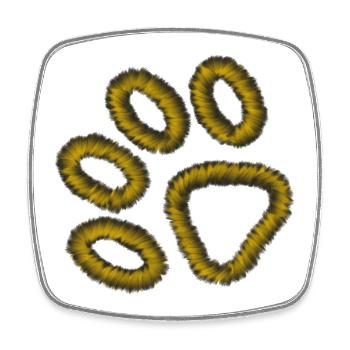 goldene Tiger Pfote - Viereckiger Kühlschrankmagnet - Weiß - Vorne