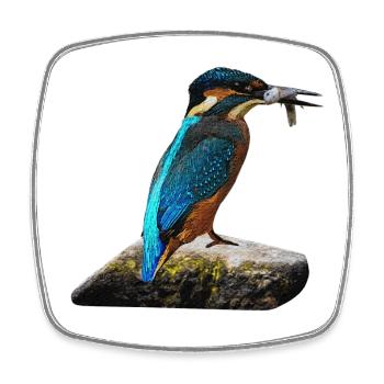 coole vögel, fischendes Eisvogel männchen - Viereckiger Kühlschrankmagnet - Weiß - Vorne