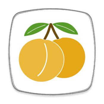 Mirabelle - Viereckiger Kühlschrankmagnet - Weiß - Vorne