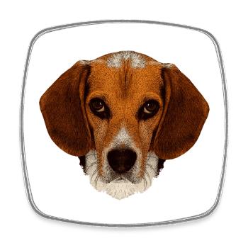 jagdhunde, Beagle leinwand optik - Viereckiger Kühlschrankmagnet - Weiß - Vorne