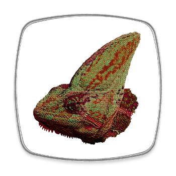 Reptilien designs, Chameleonkopf, freizeitkleidung - Viereckiger Kühlschrankmagnet - Weiß - Vorne