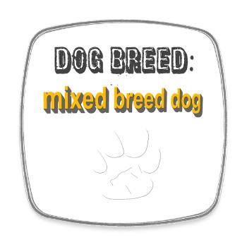 mischlinghalter, MixedBreed dog, coole hundesprüch - Viereckiger Kühlschrankmagnet - Weiß - Vorne