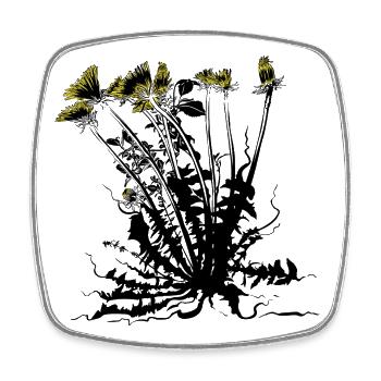 Dandelion energy - Square fridge magnet - white - Front