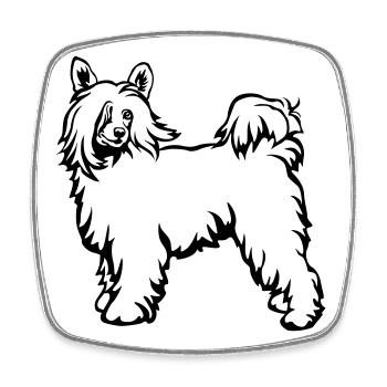 Chinese Crested Powderpuff - Viereckiger Kühlschrankmagnet - Weiß - Vorne