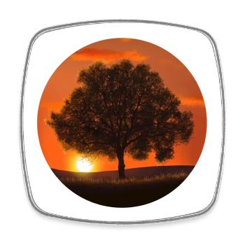 Tree - Square fridge magnet - white - Front