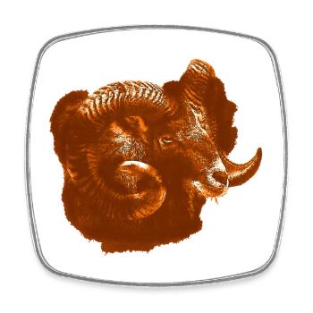 Tiershirts für männer, Mufflonkopf, Schafkopf - Viereckiger Kühlschrankmagnet - Weiß - Vorne
