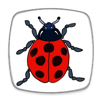 Roter Marienkäfer mit blauem Kopf - Viereckiger Kühlschrankmagnet - Weiß - Vorne