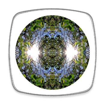 Nature Mandala Source à Nbg Erlenstegen - Magnet carré - blanc - Devant