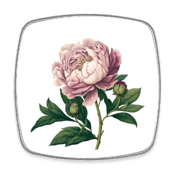 Traditionelle Pfingstrose - Vintage Rosa Aquarel - Viereckiger Kühlschrankmagnet - Weiß - Vorne