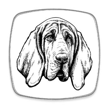 Bloodhound Portrait - Viereckiger Kühlschrankmagnet - Weiß - Vorne