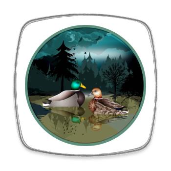 Couple de canards dans l’étang aux canards la nuit et au clair de lune - Magnet carré - blanc - Devant