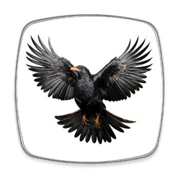 Alpendohle im Flug – Alpen Vogelmotiv - Viereckiger Kühlschrankmagnet - Weiß - Vorne