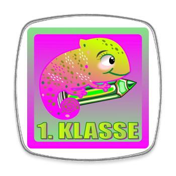 PINKE AMPHIBIE CHAMÄLEON GECKO 1. KLASSE - Viereckiger Kühlschrankmagnet - Weiß - Vorne