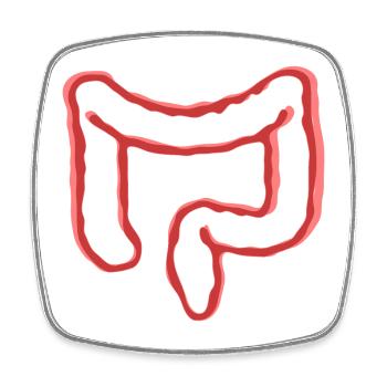 ORGANE INTESTINAL - Magnet carré - blanc - Devant