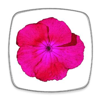 bartnelke, tolle blumendesigns - Viereckiger Kühlschrankmagnet - Weiß - Vorne
