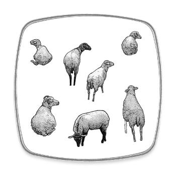 schafherde, ländlich, süße tiermotive - Viereckiger Kühlschrankmagnet - Weiß - Vorne