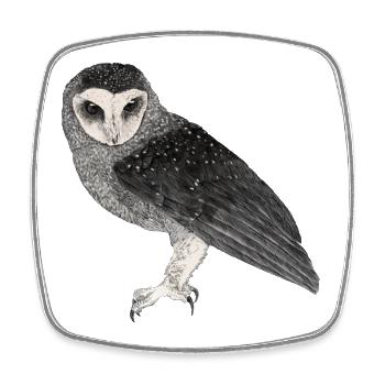 Illustration: Fleckenrußeule - Viereckiger Kühlschrankmagnet - Weiß - Vorne